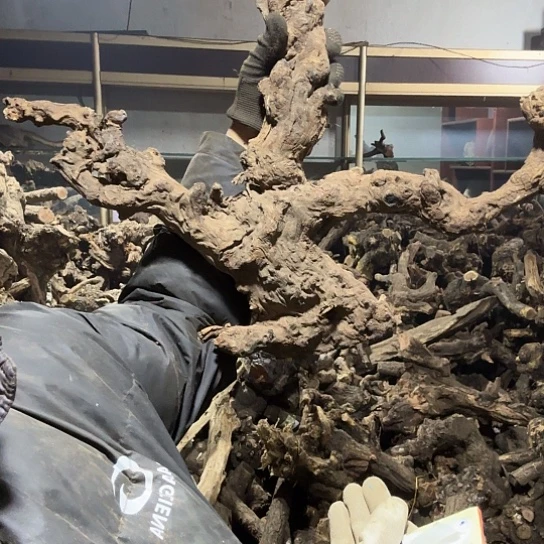 香榧木一**顺火琉璃的毛料比较摆件