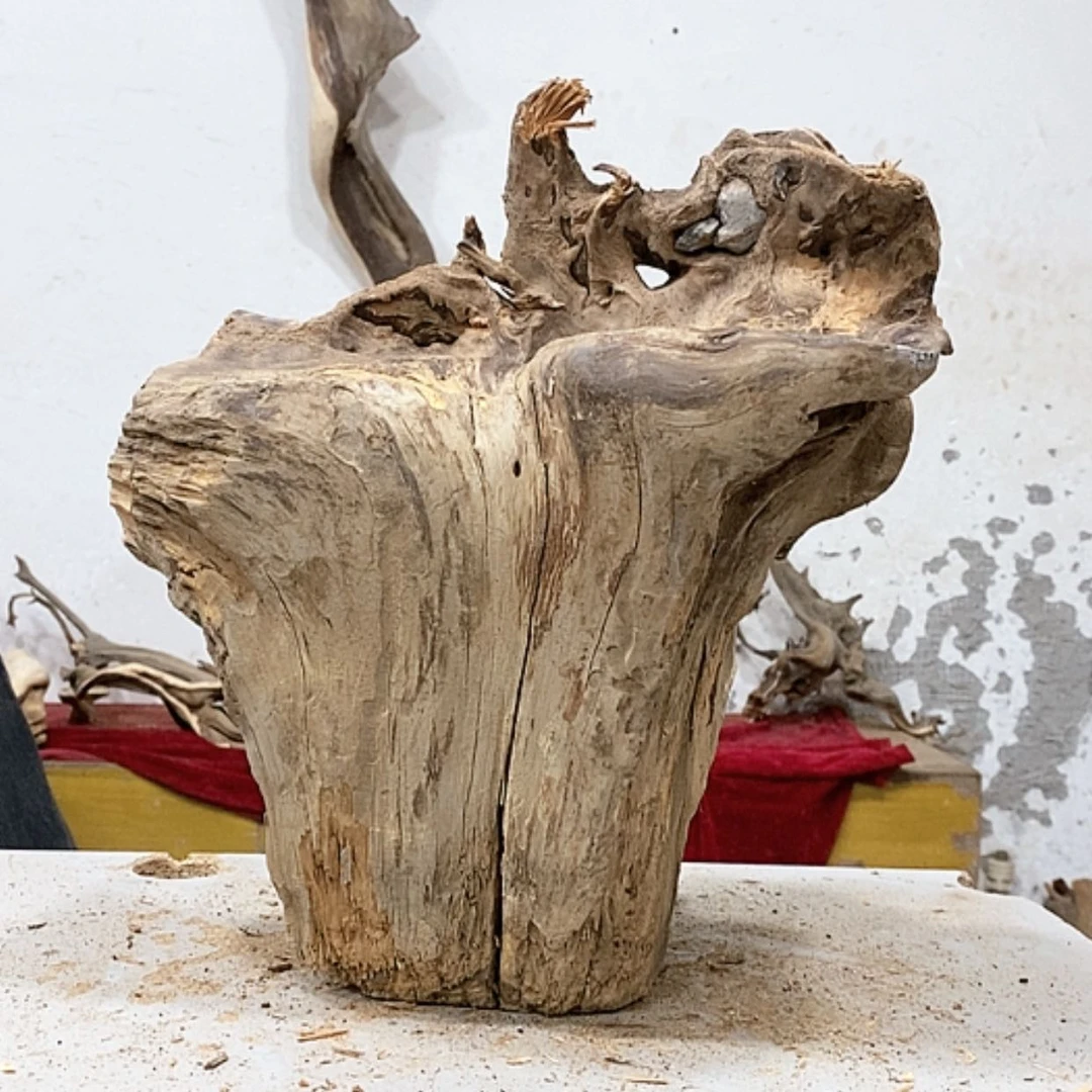 【闪购商品】柏木三*我们都是好孩子