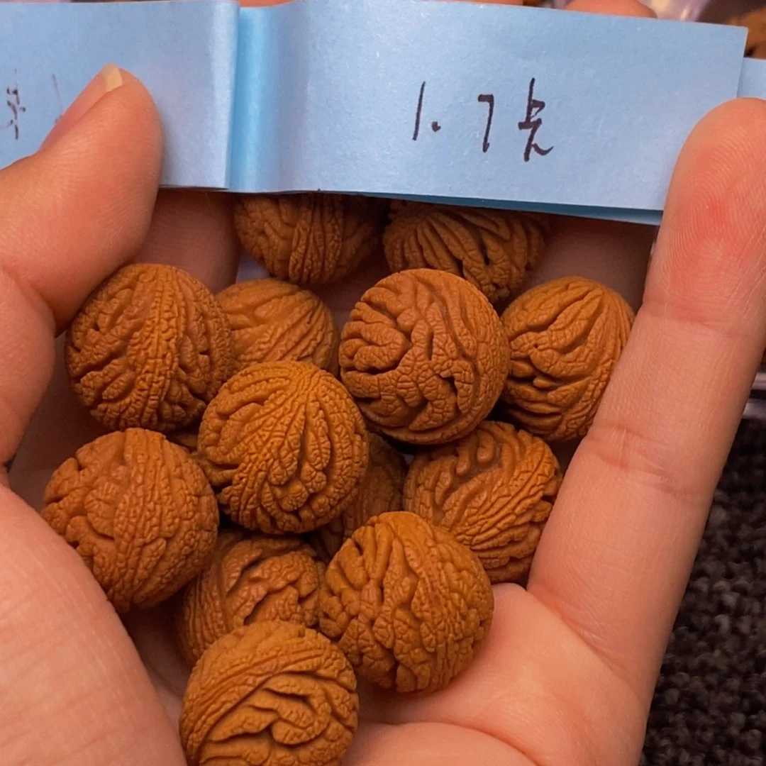 秦岭山脉龙纹桃核 14