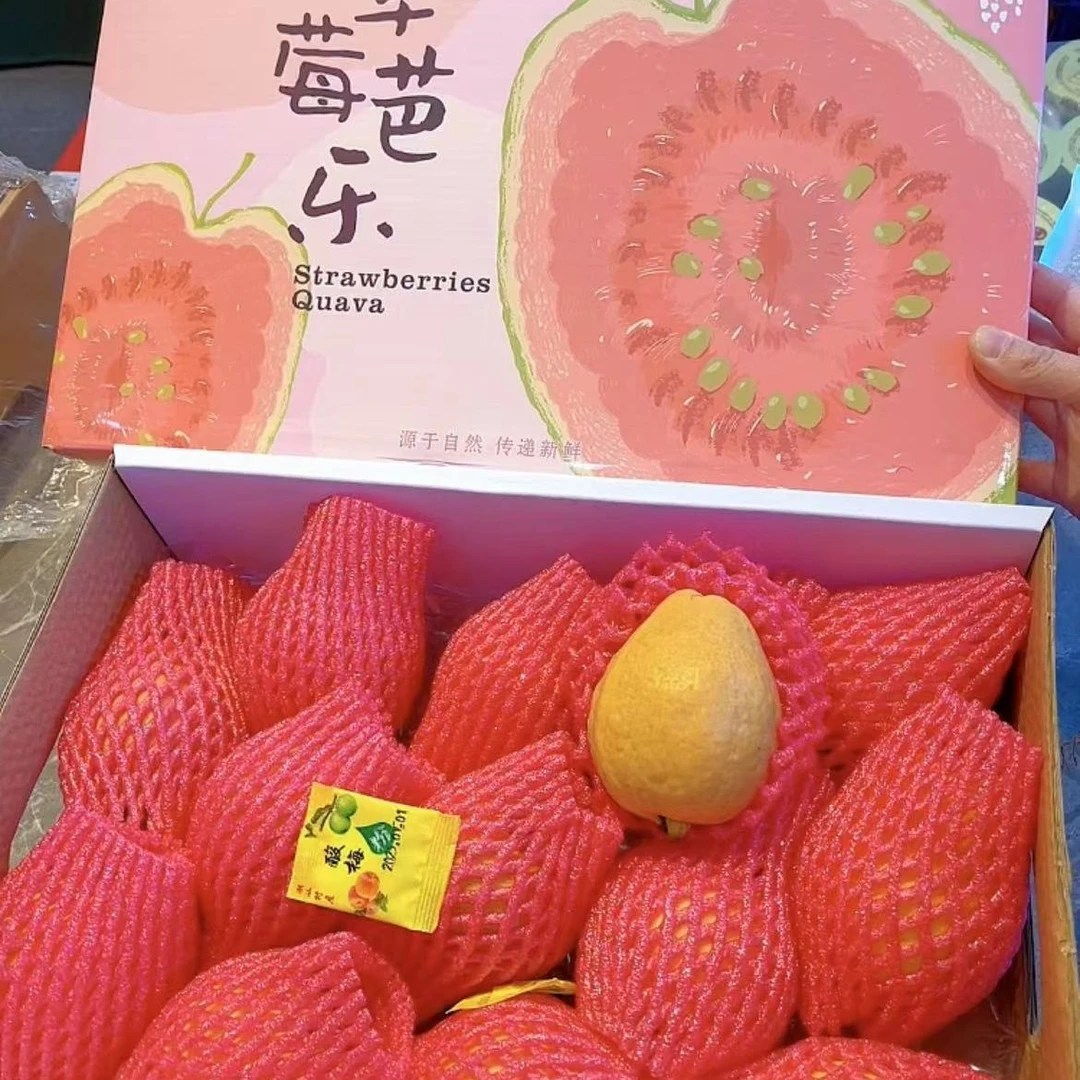 草莓芭乐8.8/个 220克新到的回家困熟再吃