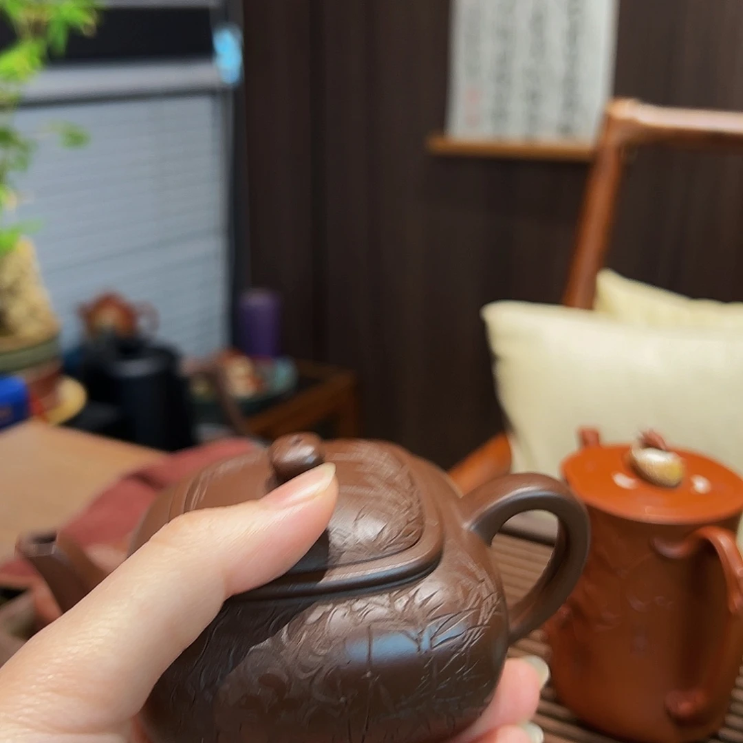 茶壶紫砂用****4一尘不染