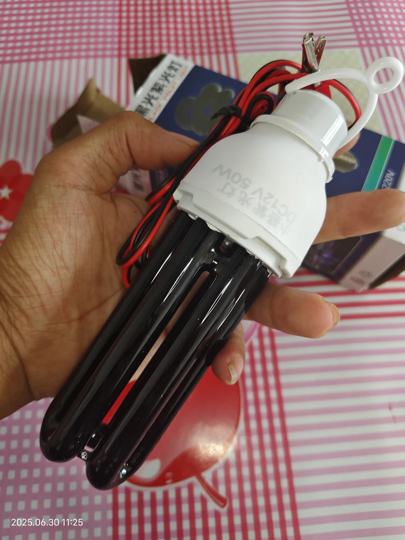 12V小盛黑光紫光诱虫灯