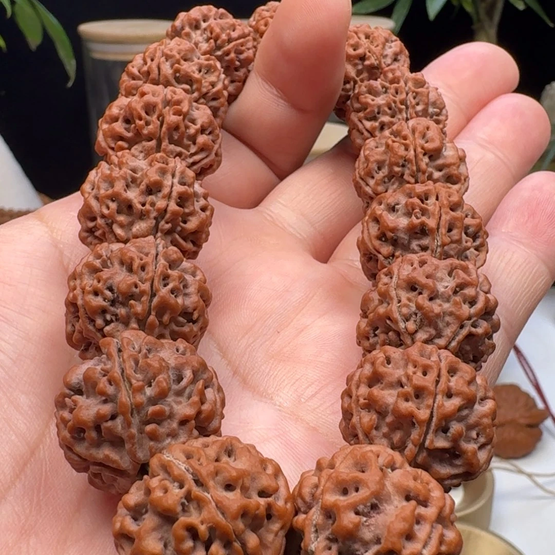 手串金刚菩提五星蜂王籽