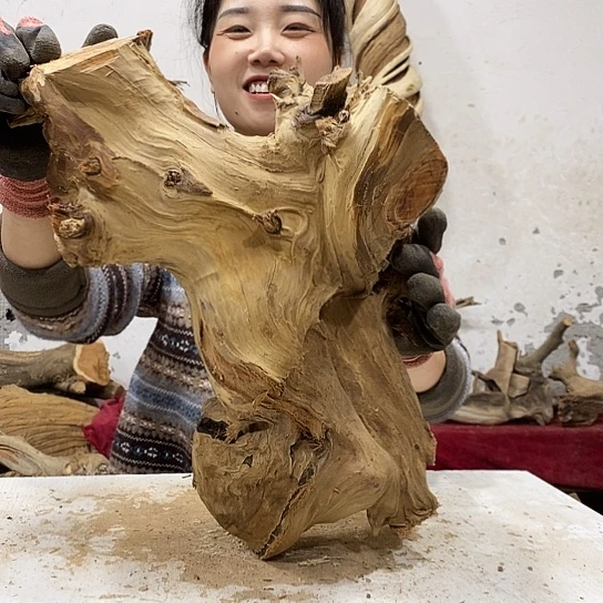 加***吧柏木我们都是好孩子呀