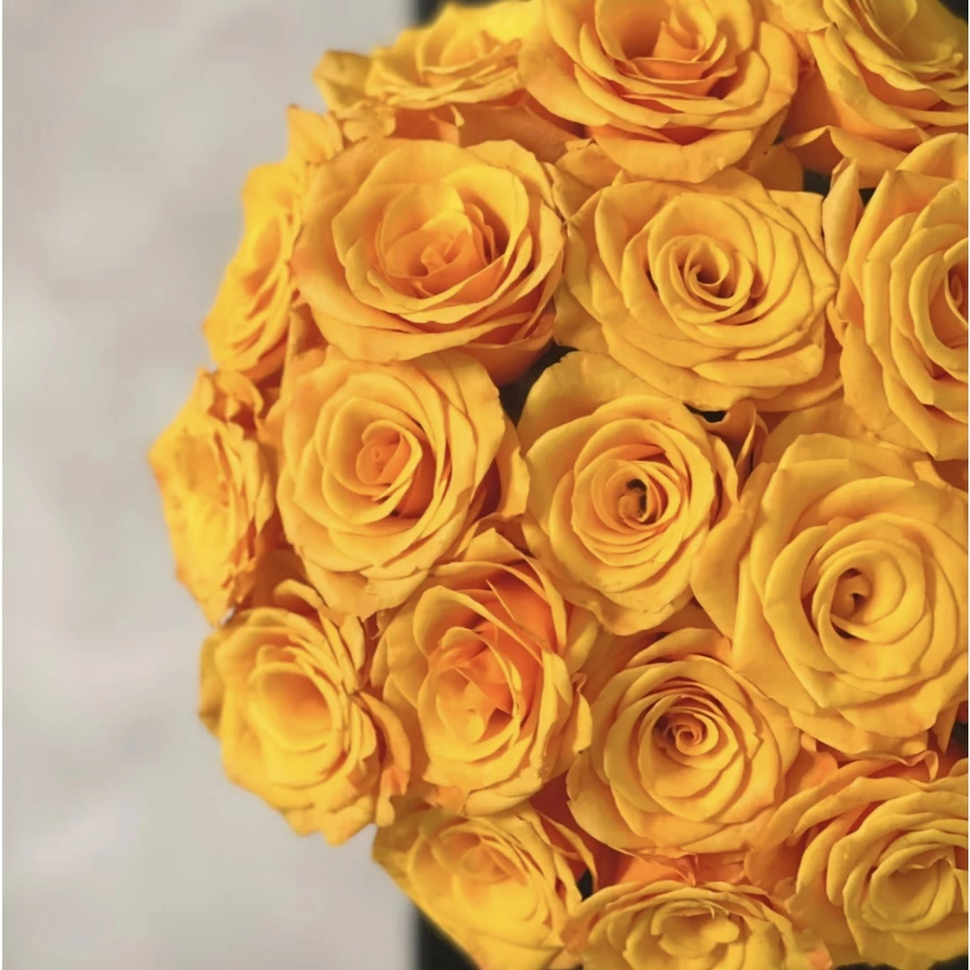 【辉煌】高品质单头玫瑰  全店两单顺丰冷链包邮家居鲜花养护