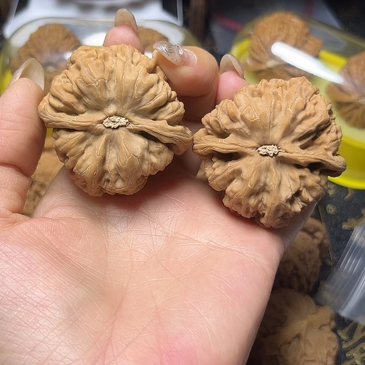 文玩核桃吊坠諾45粗筋有黄尖