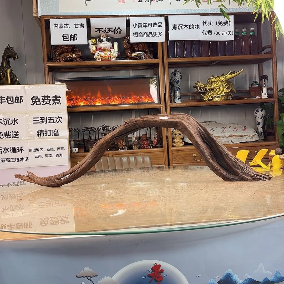 鸽***飞112 10 29紫柚木秒沉水