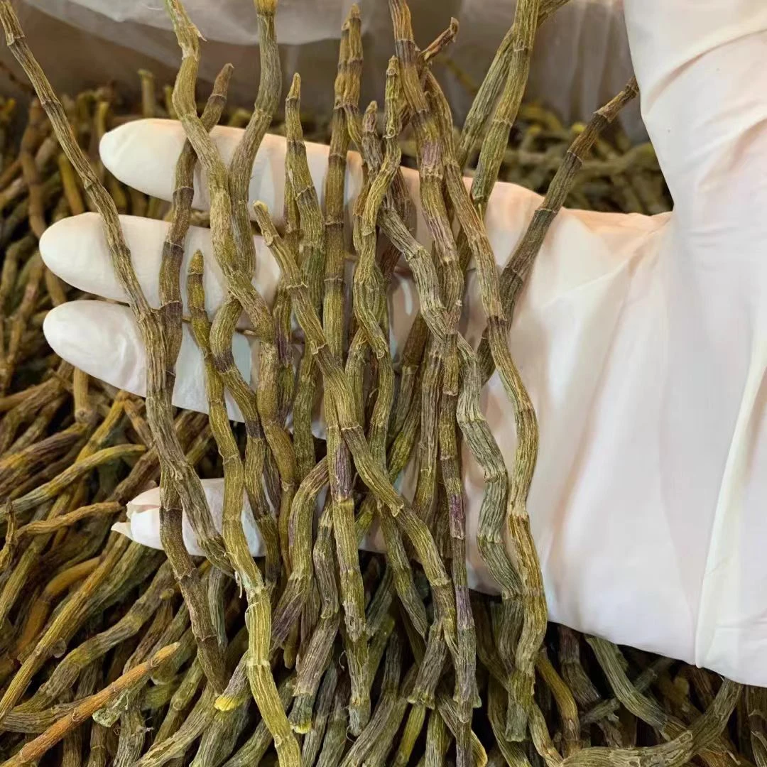 云南高山 石斛干条
