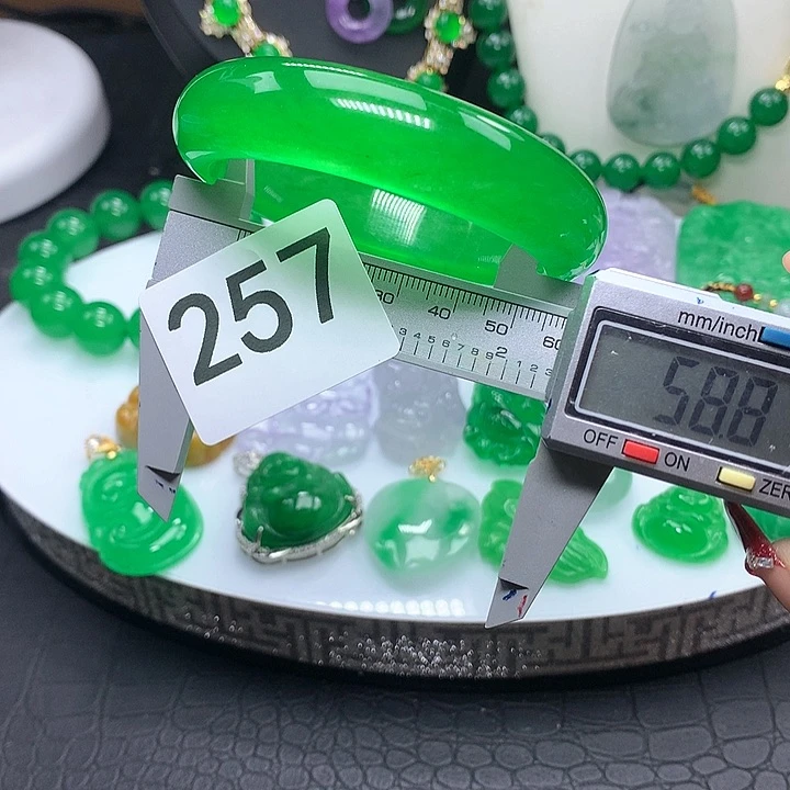 翡翠吊坠(赠链)未镶嵌