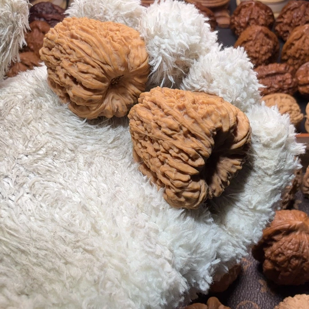 远***文玩核桃把件凹的南將石狮子头