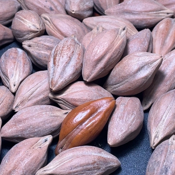 鲁***堂吊坠橄榄核不退不换