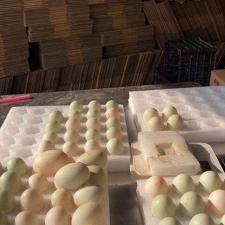 空***兰包装中国大陆30g鸭蛋