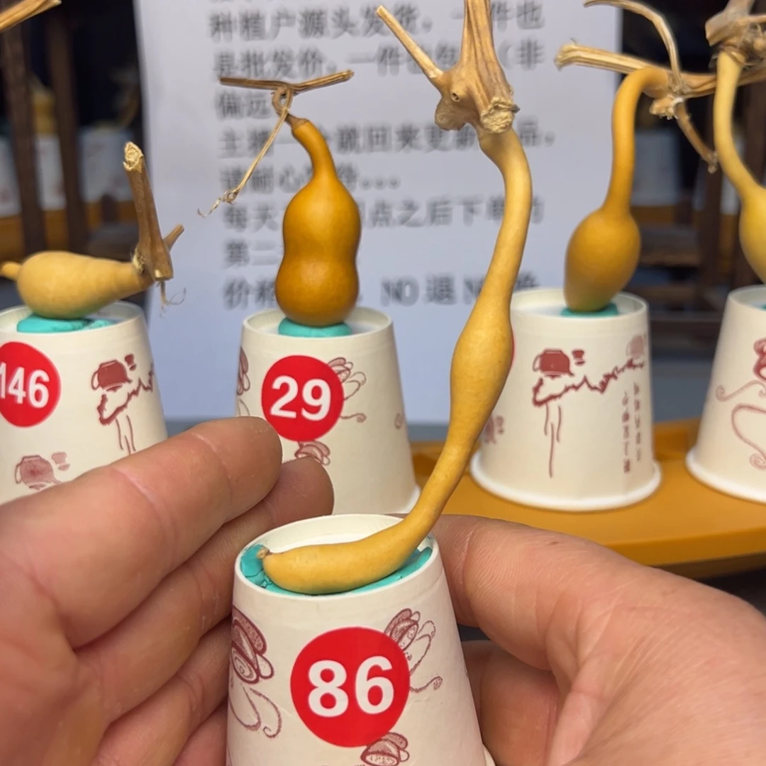 闪电购自助下单编号86