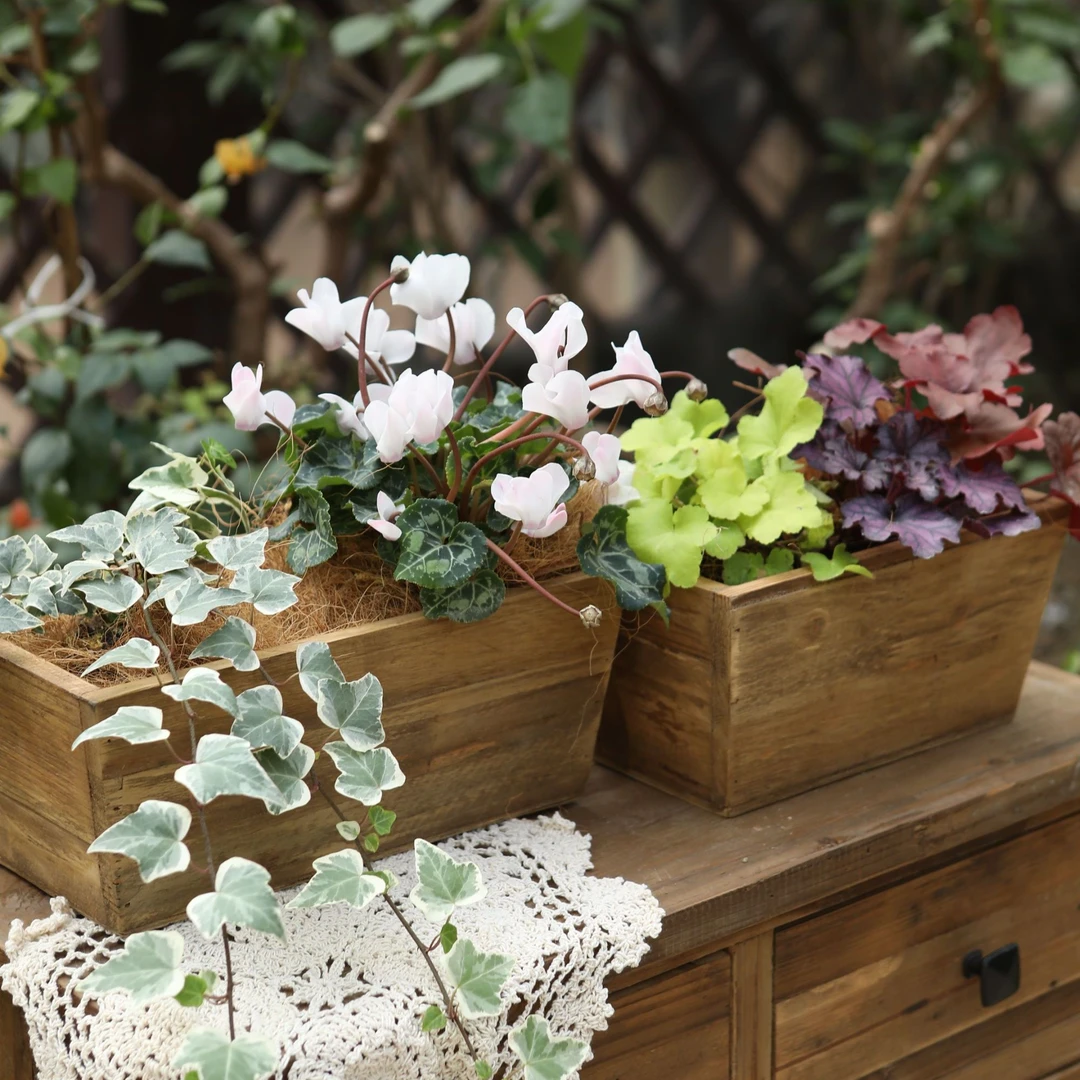 套二实木园艺花园植物花盆木头木花盆复古家用多肉盆