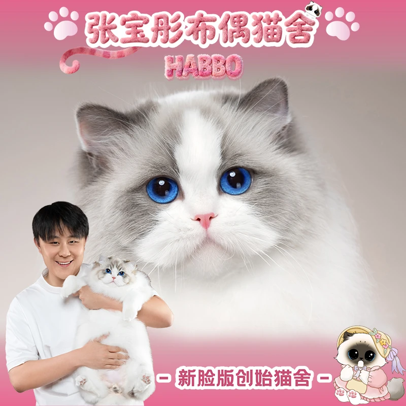 张宝彤布偶猫舍-小飞象妹妹 | 新脸版创始猫舍