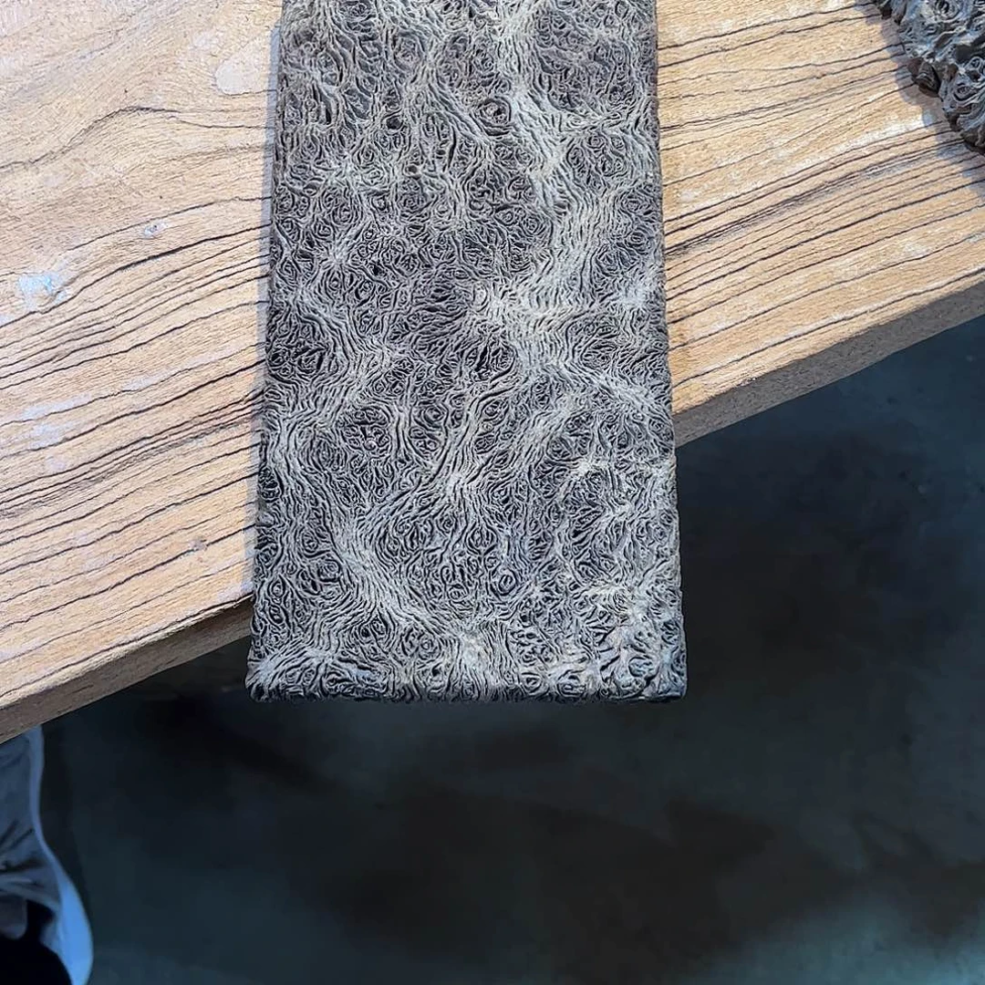 南***坊有机玻璃铁栎木干泡