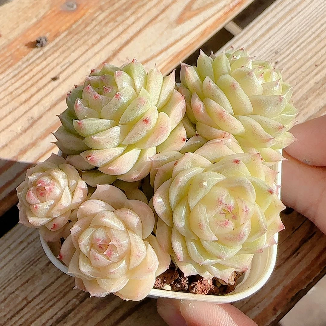 1209-73（fm-34-3）优选