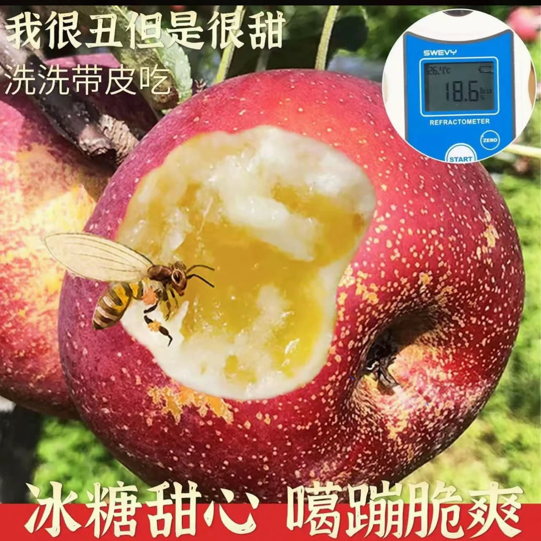 （爆脆爆甜）正宗高山冰糖心丑苹果富士现摘现发不打蜡可带皮吃水果