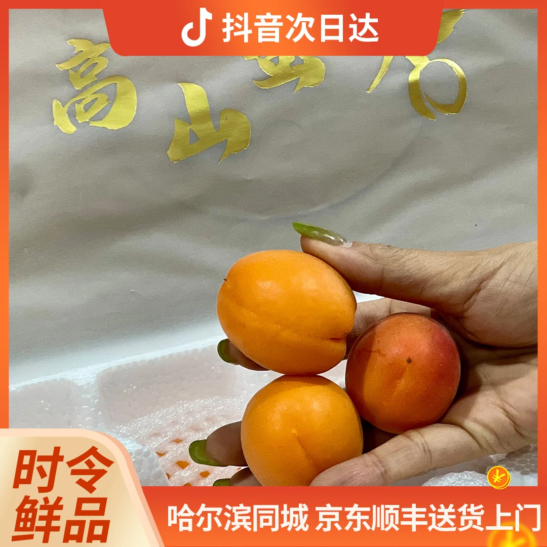 崂山蜜杏 15颗/箱 约1.5斤左右山东省