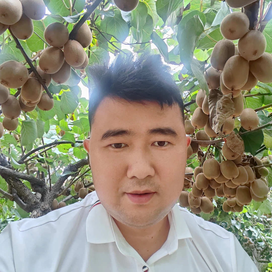 湖南高山黄心猕猴桃