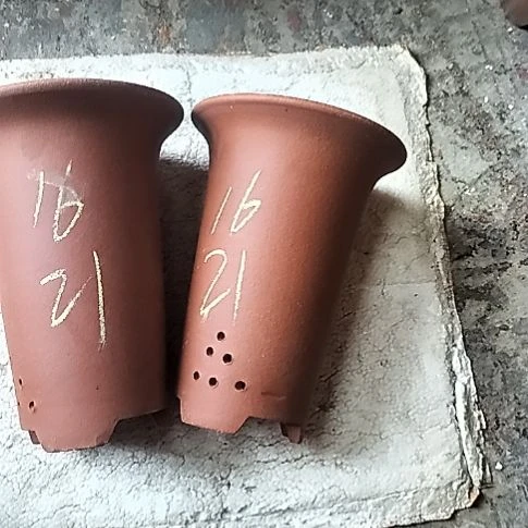 小红兰花两个微瑕