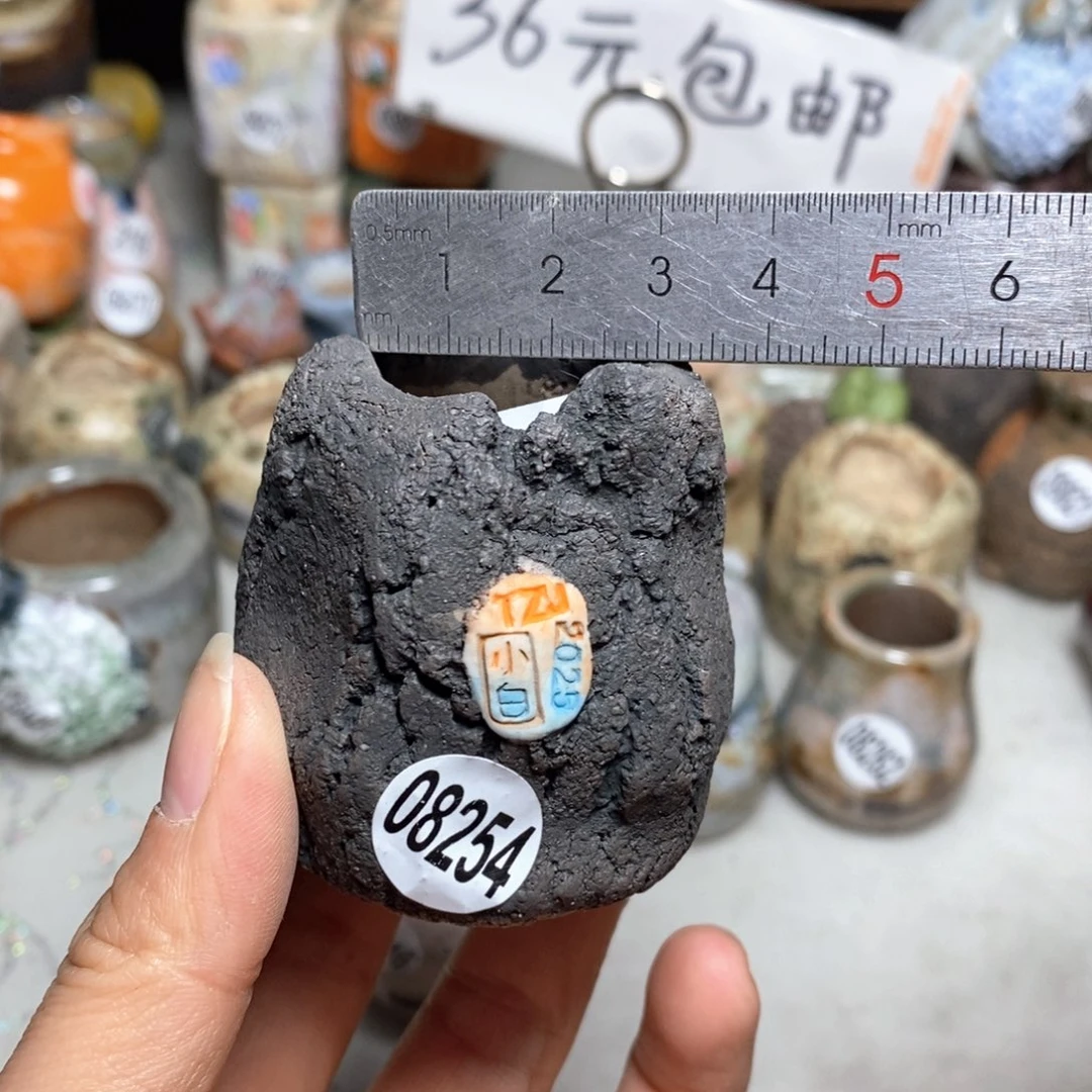 花盆拍5送一个小礼物