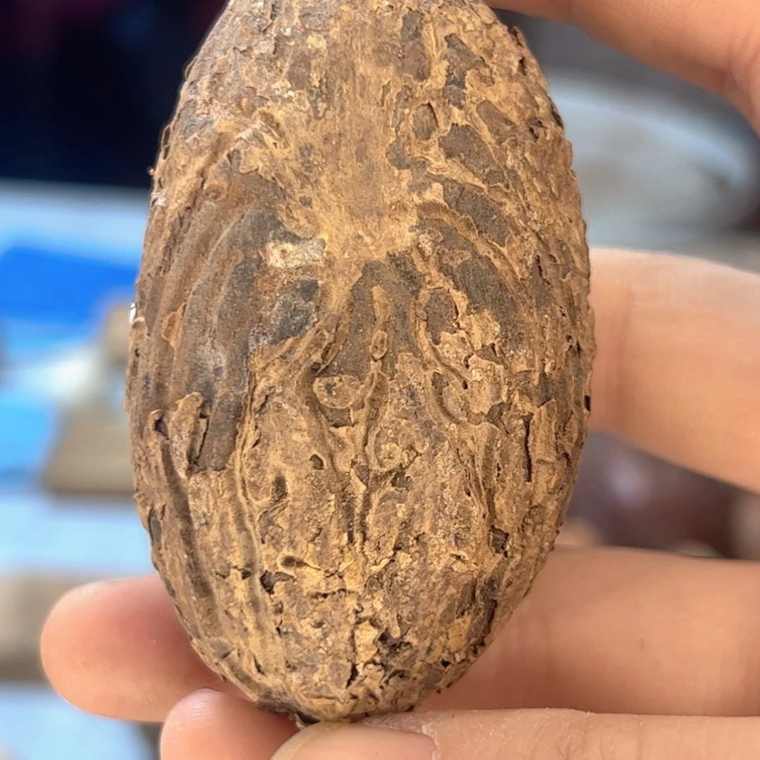 千眼菩提吊坠果王