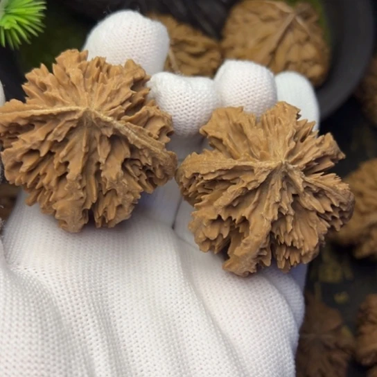 辉***营文玩核桃把件秦岭核桃3