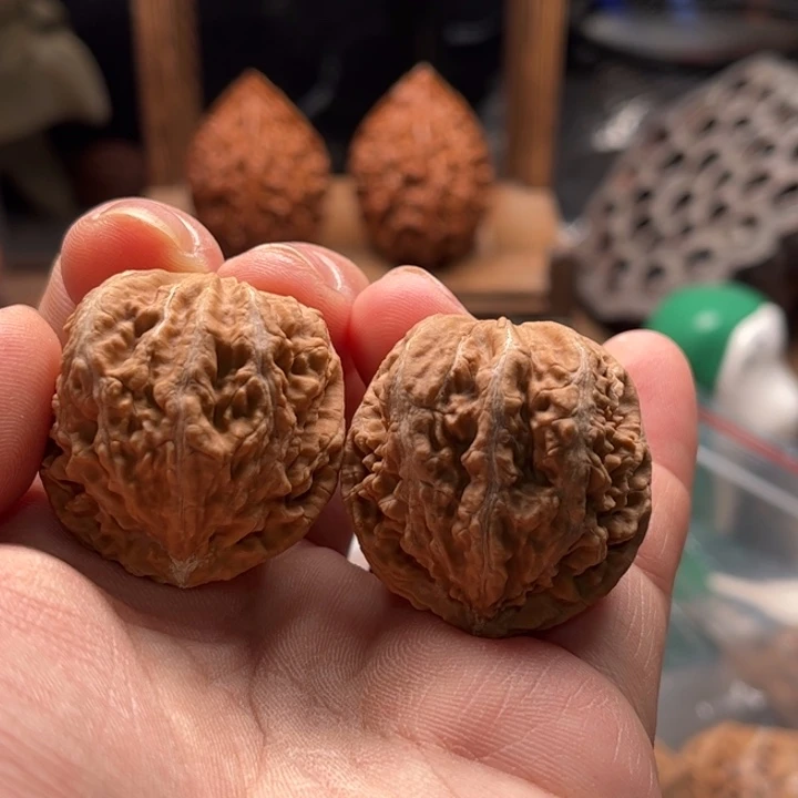 文玩核桃把件楸大胖10