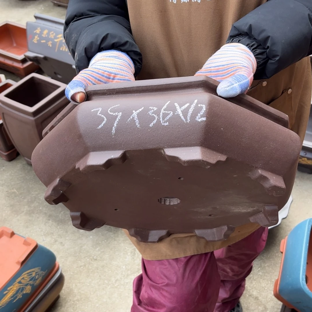 紫砂花盆盆景艺术