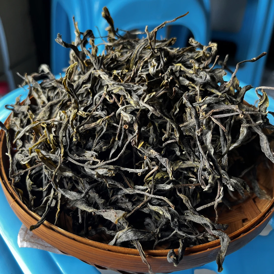 自家平掌古单株晒青散茶 甘甜口感花香蜜韵