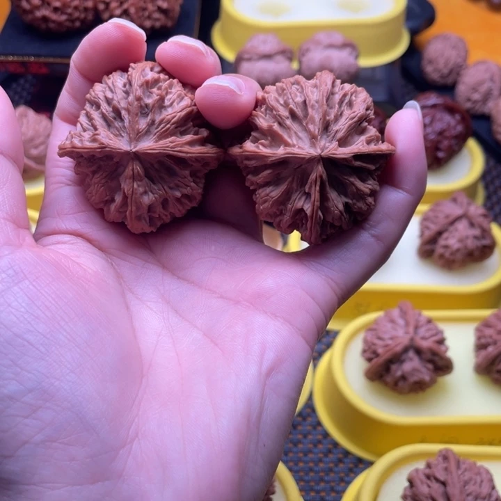 核桃四棱苹果园45尺