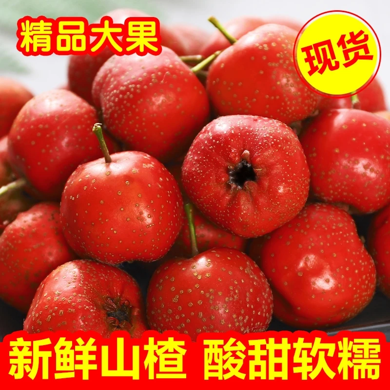 新鲜山楂果大五棱水果精品山里红鲜果大金星山楂农家酸甜糖葫芦用