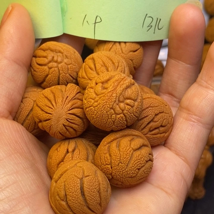 桃核吊坠秦岭龙纹桃核19尺寸