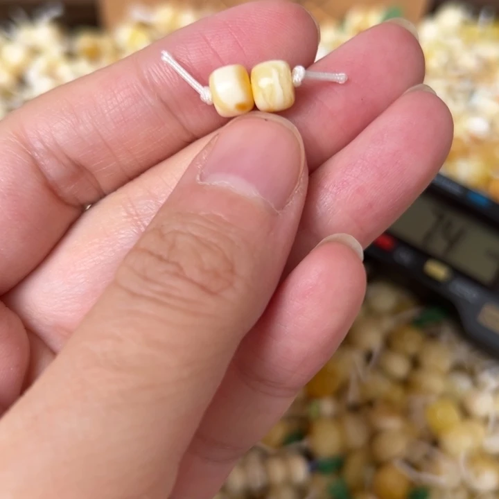 蜜蜡未镶嵌裸石6.6mm一对