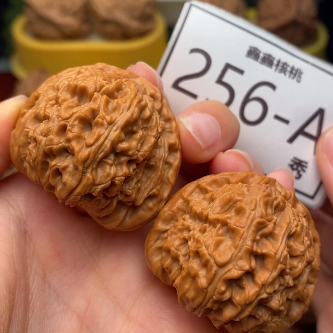 文玩核桃把件白狮子39……