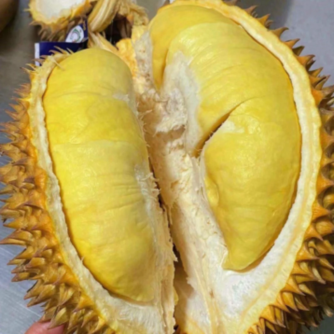 空运树上熟泰国金枕榴莲新鲜果肉1500g核小肉厚榴莲同城送金枕