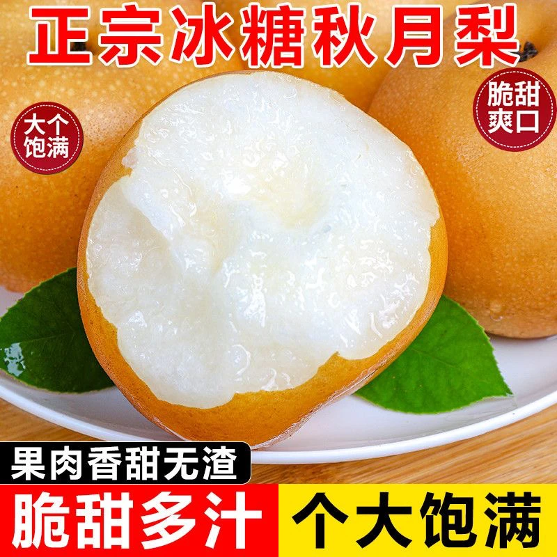 9斤！9斤！头茬山东秋月梨皮薄超甜细腻多汁当季水果