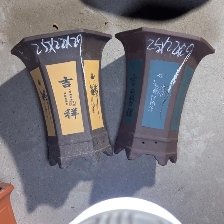 紫砂紫砂紫砂紫砂吃