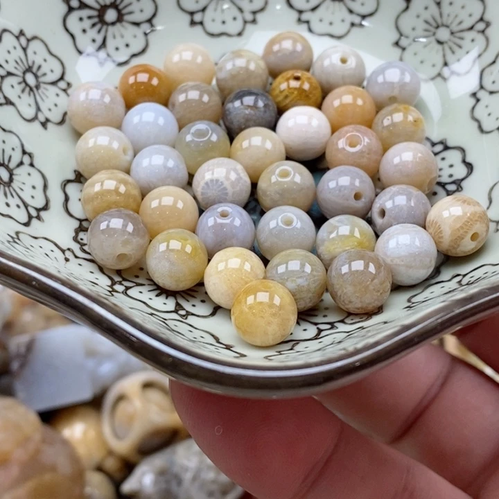 硅化珊瑚（珊瑚玉）未镶嵌颈饰