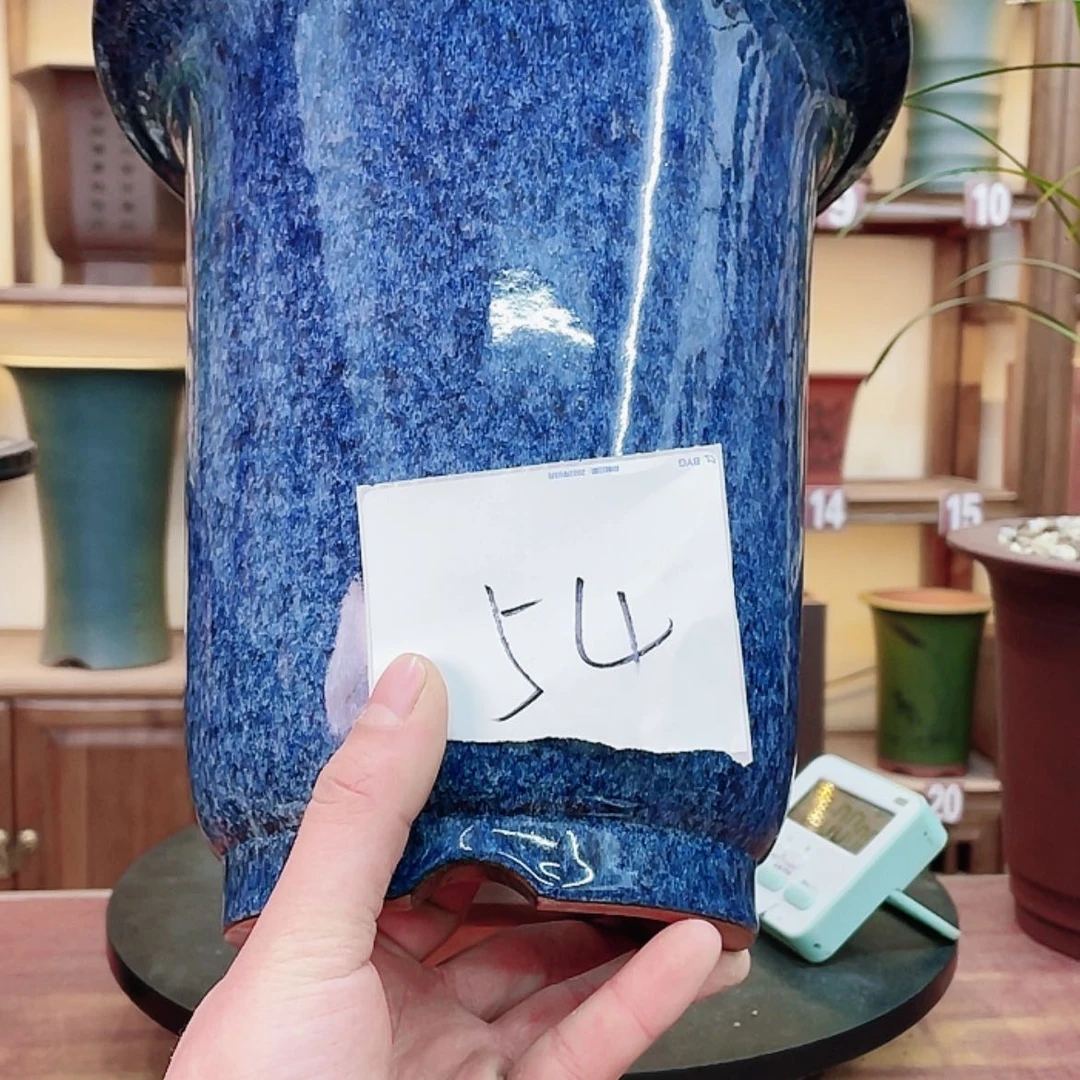 【闪购商品】紫砂花盆林*闲兰花755585523588556588