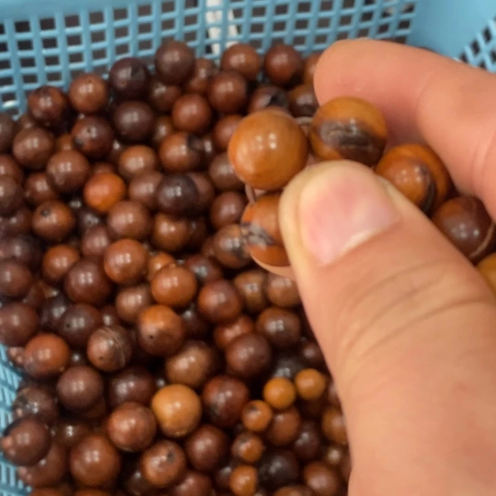 核桃木/黑胡桃（胡桃木）手串/手链2颗1.2