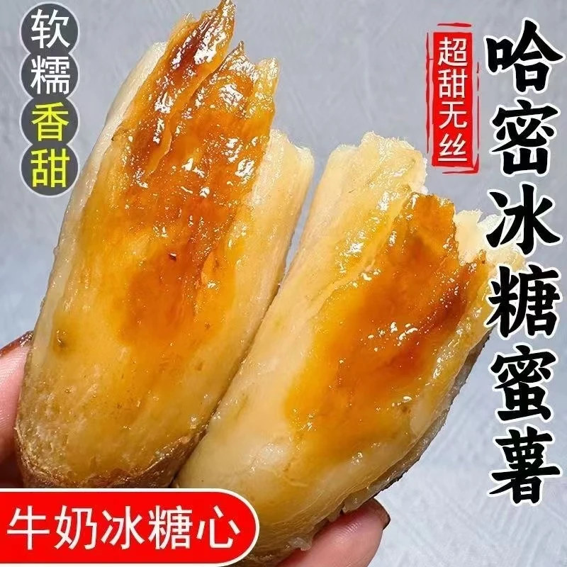 哈密白心冰糖心薯香甜粉糯沙地种植新鲜红薯宝宝辅食