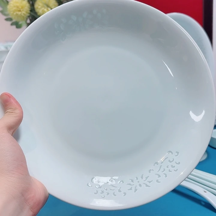 碗景德镇陶瓷10寸盘
