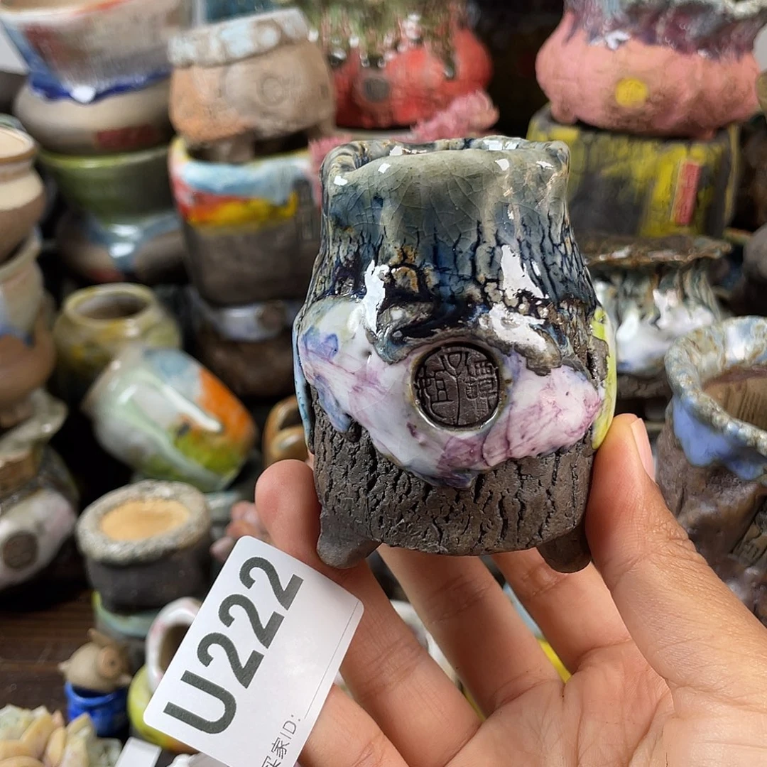 默认微次 跨年福利 坛子姐花盆