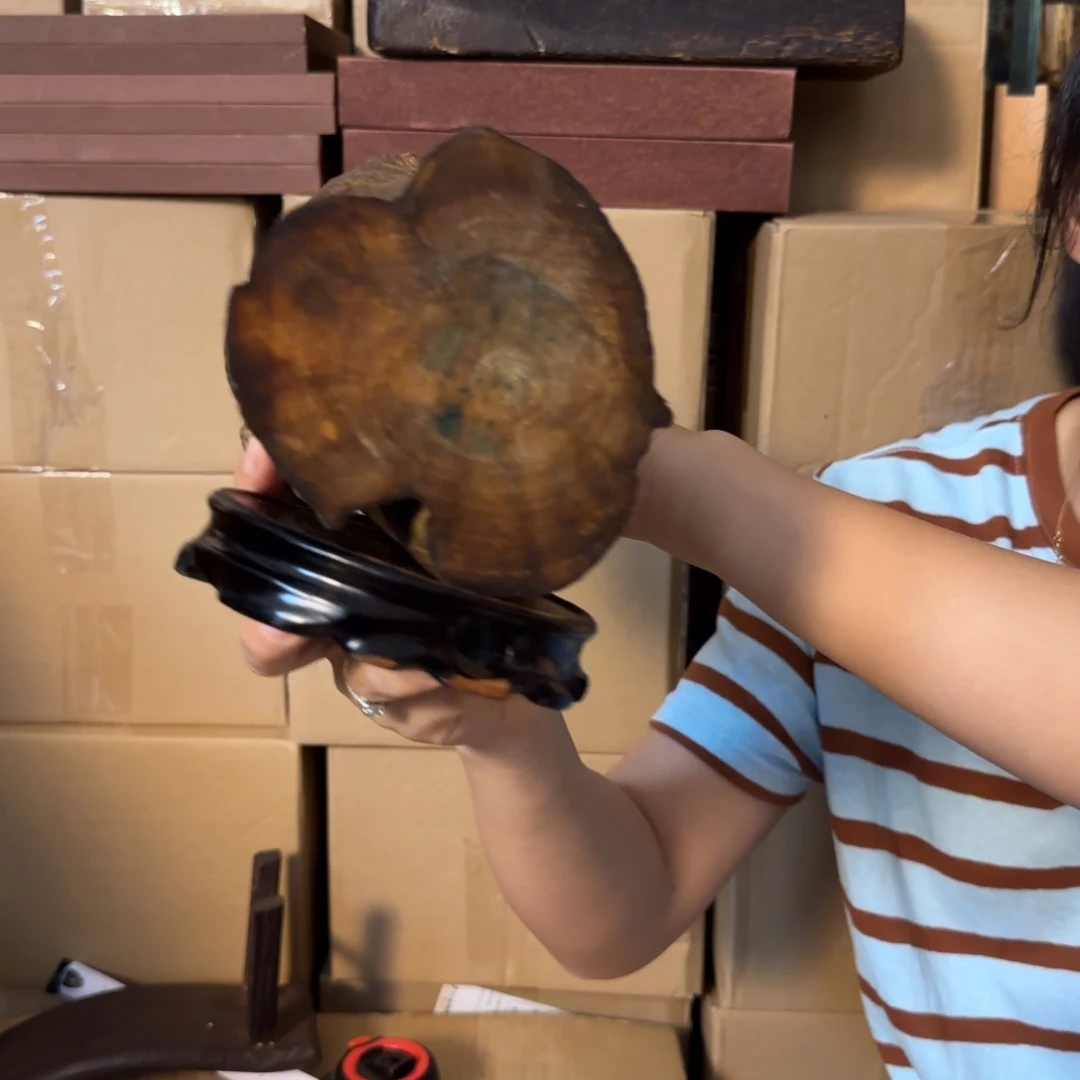 沉香碎屑沉香沉香多样性发一件26