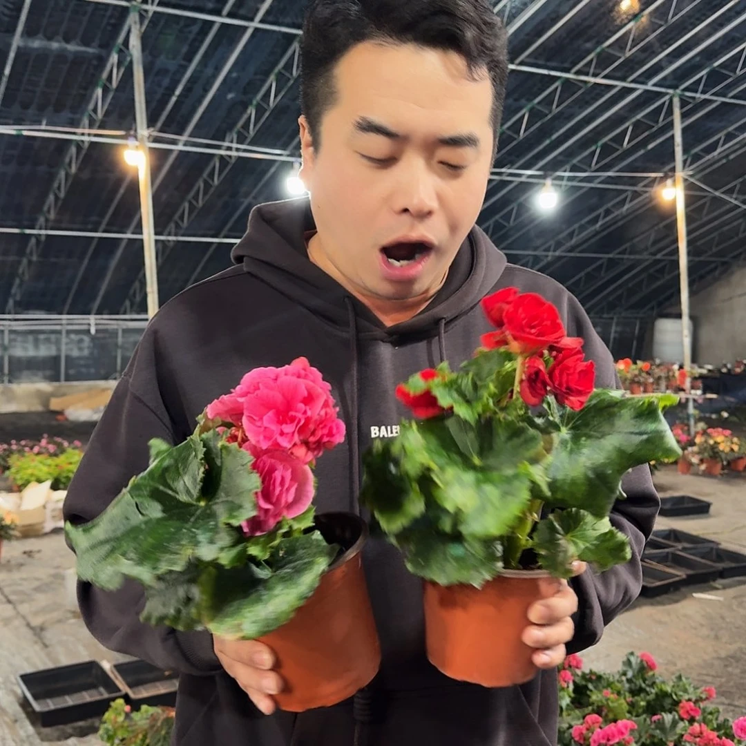 福利红➕风暴，掉花折叶正常介意勿拍不拍保温冻死不售后