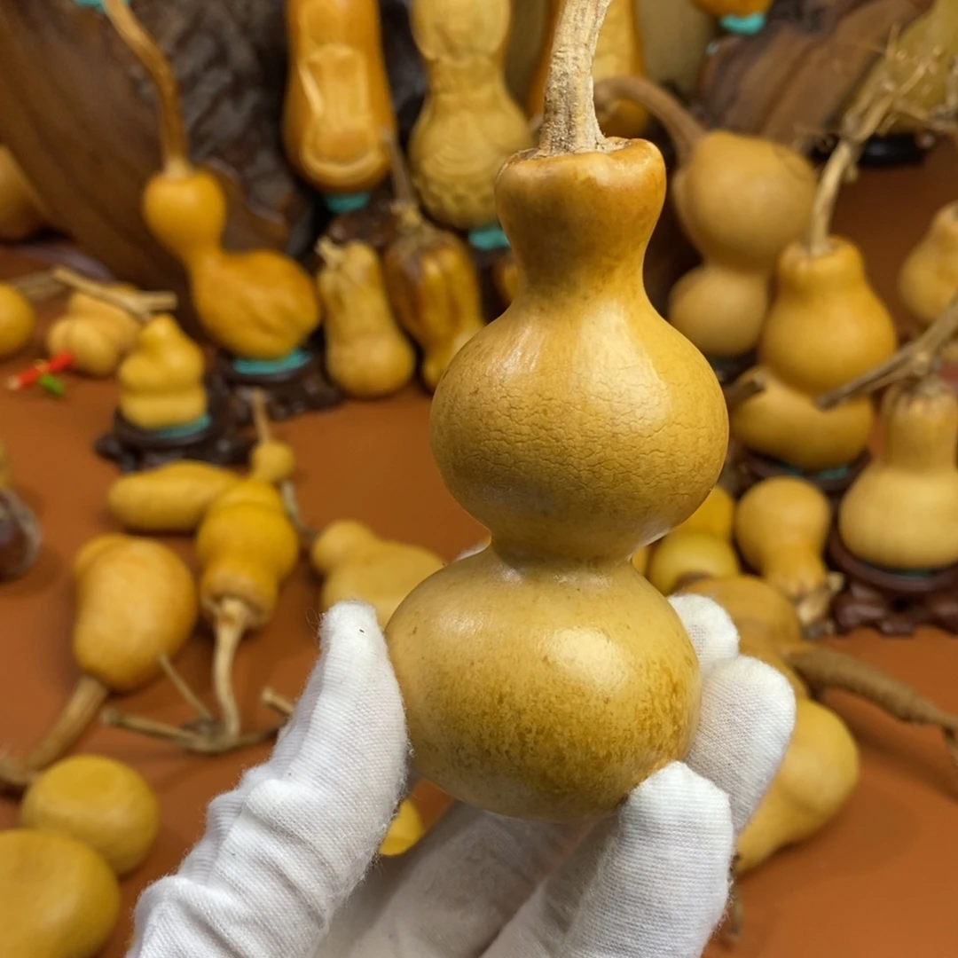 菲***风教练教练教练咯教练咯