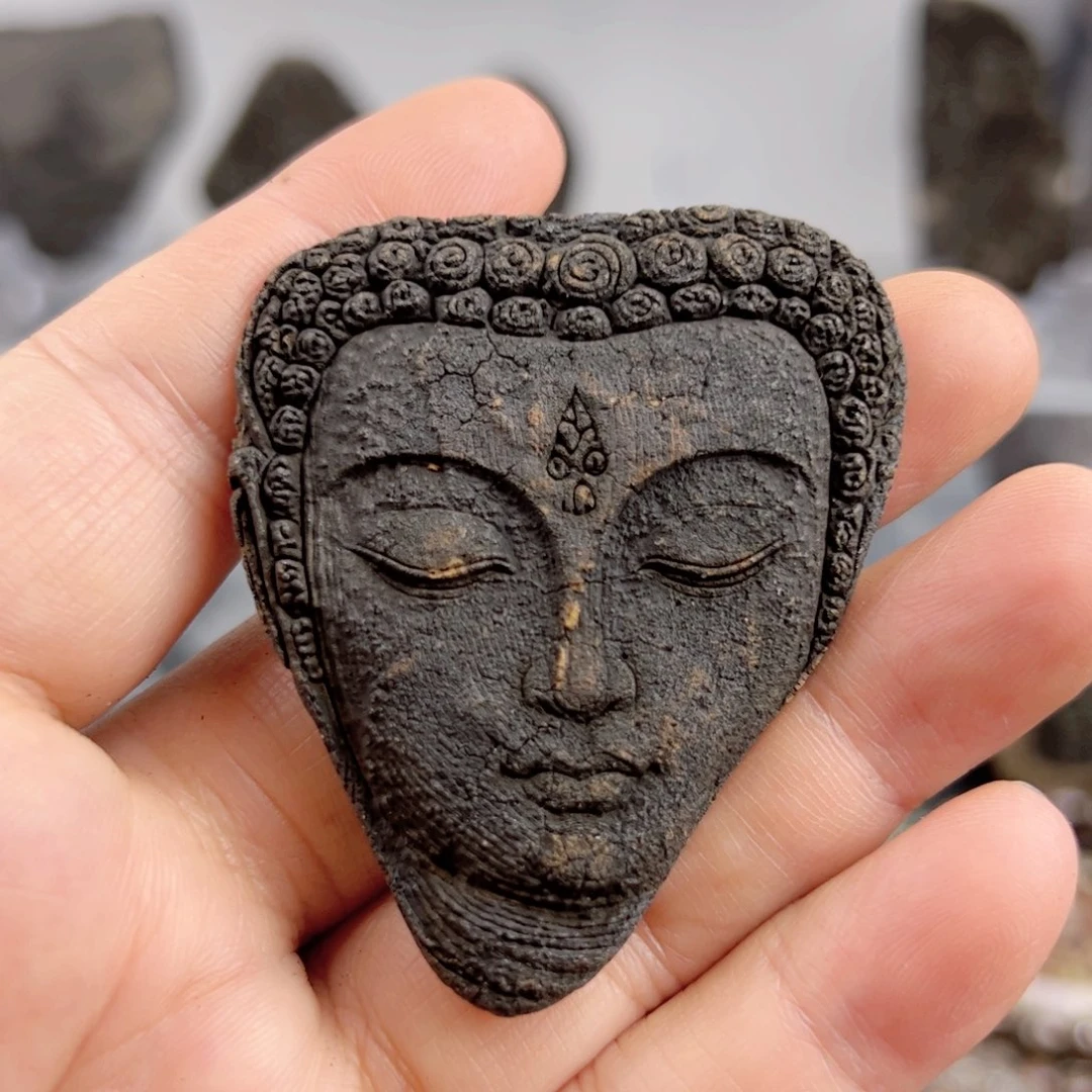 看看看看看看看看看