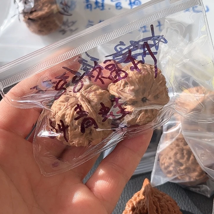 文玩核桃把件锋****~青蛙